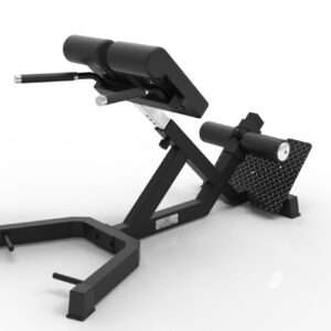 Hyperextension Roman Chair